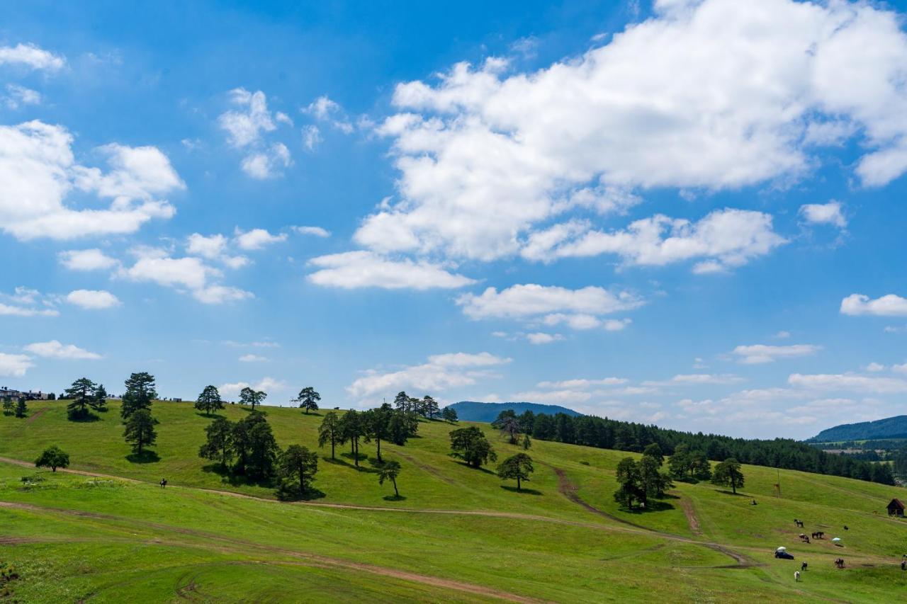 Lux Apartman Monet Apartment Zlatibor Exterior photo